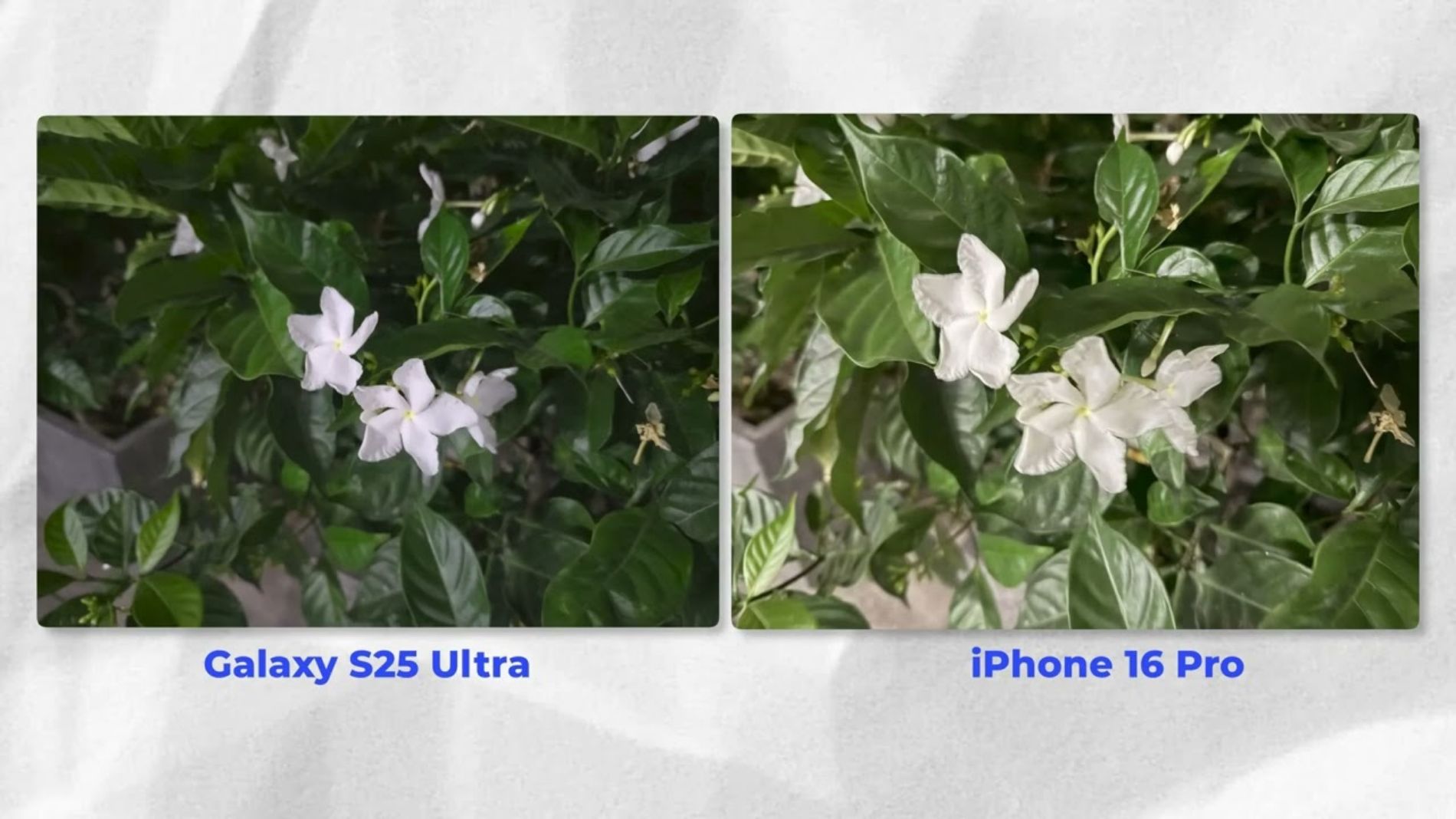 Hình ảnh cho danh mục Review Camera Samsung Galaxy S25 Edge cùng Dương Dê và Samcenter